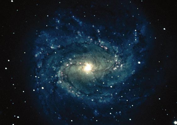   (Southern Pinwheel) - M83 (NGC 5236)