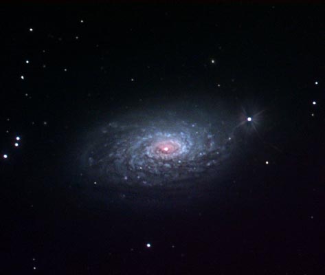   (Sunflower) - M63 (NGC 5055)