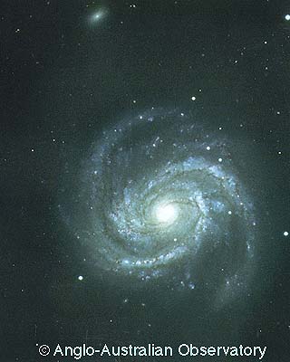 M100 (NGC 4321)