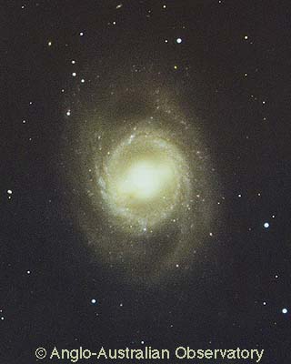 M95 (NGC 3351)