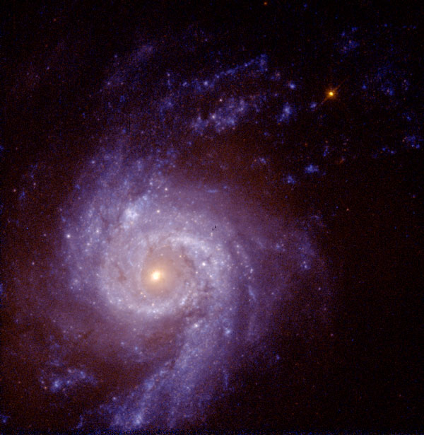 C  NGC 3310