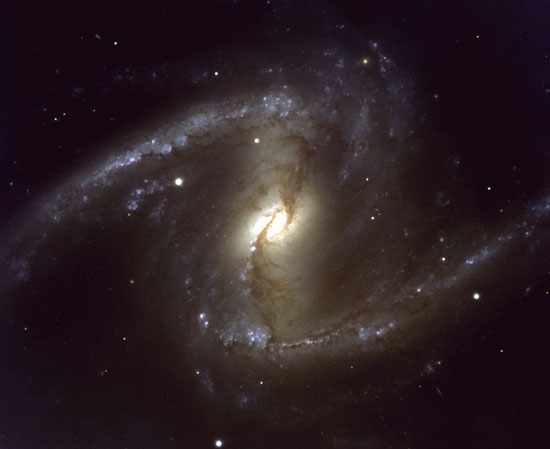    NGC 1365