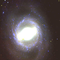  Messier 95  NGC 3351